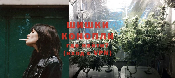 бошки Горняк