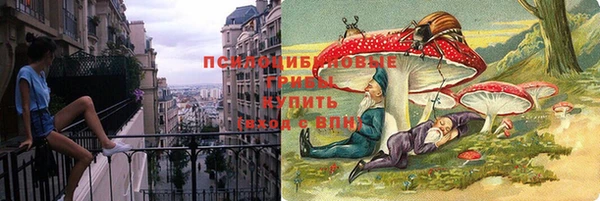круглые Гусь-Хрустальный
