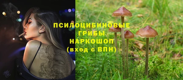 круглые Гусь-Хрустальный